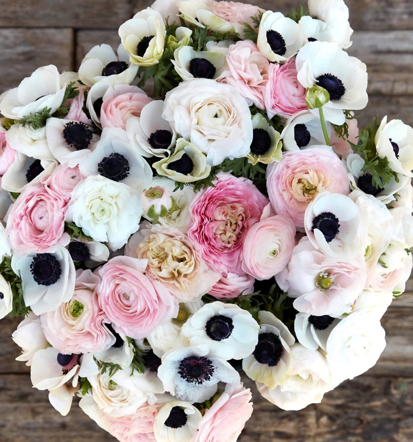 Spring Shipped Ranunculus Blend Bouquet