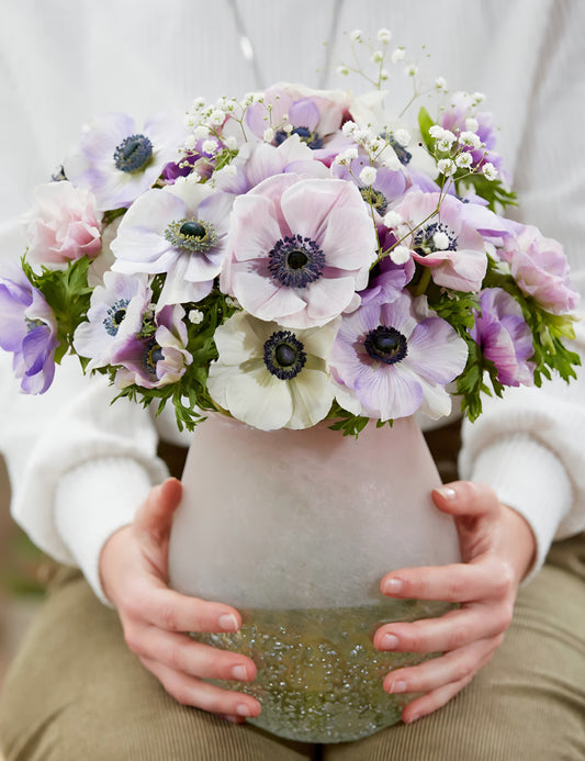Anemone Pastel Mix (10)