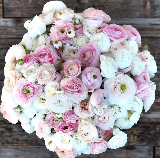 Amandine Pastel Mix